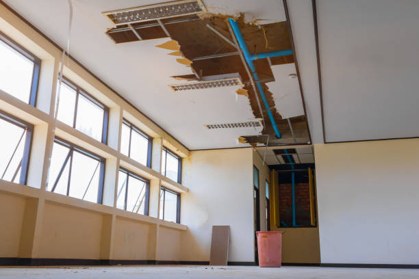 Best Water damage contractors near me  in Gulf Breeze, FL