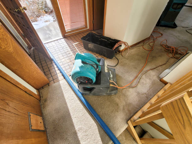Best Commercial water damage restoration  in Gulf Breeze, FL