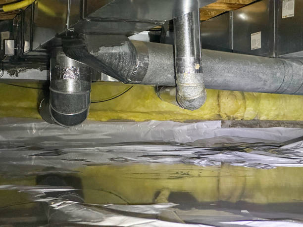 Best Professional water damage repair  in Gulf Breeze, FL