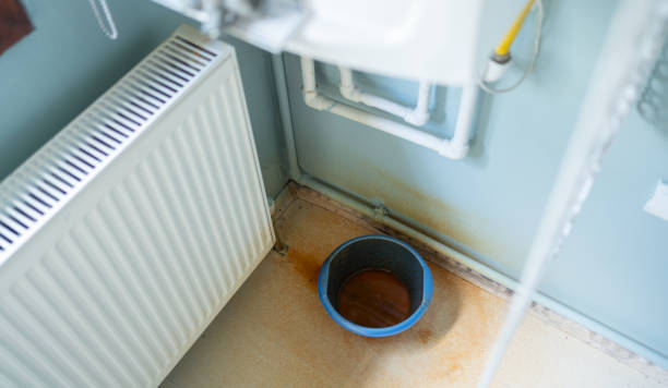 Best Water damage cleanup near me  in Gulf Breeze, FL