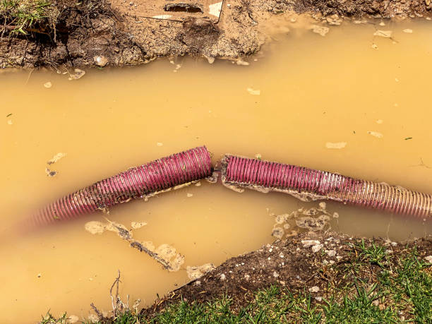 Best Emergency water damage restoration  in Gulf Breeze, FL